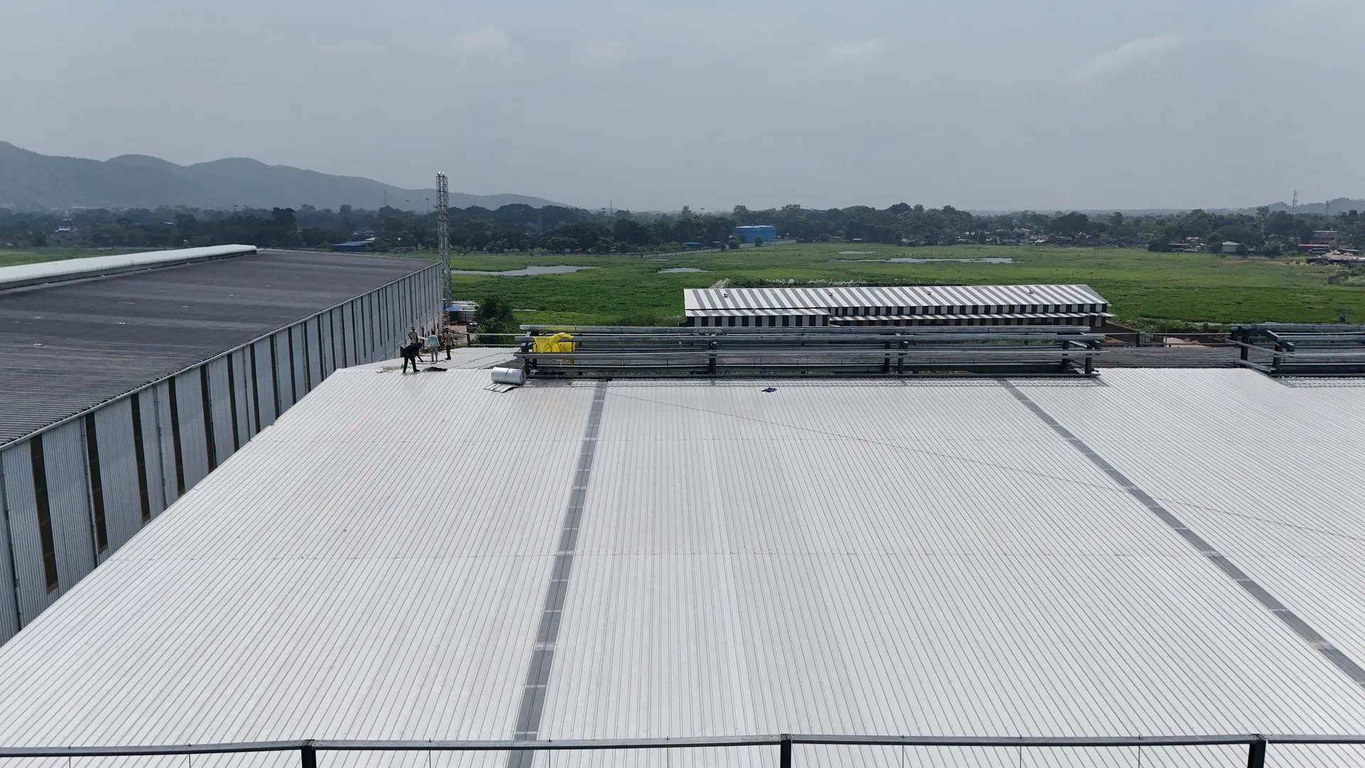 Structural purlins and wall girts alignment
